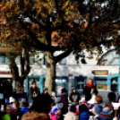 Márton napi felvonulás