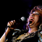 21. Dobos Gála -fotó: Kisfaludi István