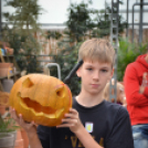 Családi tökfaragás az Oázis Kertészetben