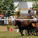 Laska fesztivál - szombat délelőtt