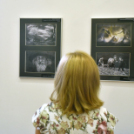 Magyar Fotográfia Napja