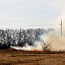 Száraz növényzet égett