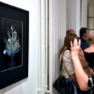 Kiállítottak a Ceglédi Alkotók