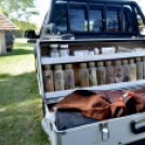 Virágvásár és főzőfesztivál Csemőben