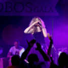 21. Dobos Gála -fotó: Kisfaludi István