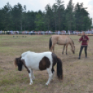 A lovak nyelvén – Hamza Viktória