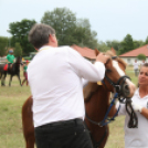 IX. Bor és Laskafesztivál - IV. Ceglédi Vágta