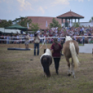 A lovak nyelvén – Hamza Viktória