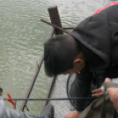 Éhmann Ferenc Emlék Kupa