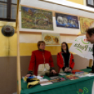 Régi idők piacztere - fotó: Kisfaludi István