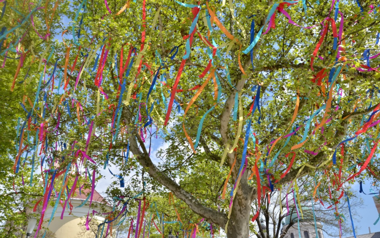 Jönnek a Városnapok