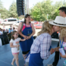 IX. Bor és Laskafesztivál - IV. Ceglédi Vágta