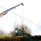 Megérkezett a város karácsonyfája