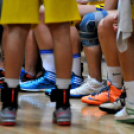 CEGLÉDI EKK – CMB CARGO GYŐR 66–74