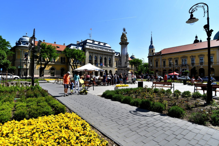 KÖZÚTKEZELŐI TÁJÉKOZTATÁS