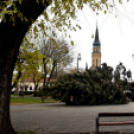 Megérkezett a város karácsonyfája