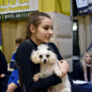 Jótékonysági gála