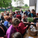 Szebb, virágosabb Ceglédért