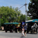 Pöttyös gyermeknap 2019