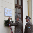 Városalapítók napja Cegléd