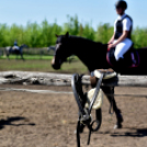 MLSZ Regionális díjugrató és szabadidős lovasverseny a Füle tanyán