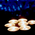 Vadászok Bora választás 2020