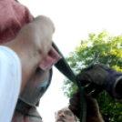 Rejtek a ceglédi kórházban