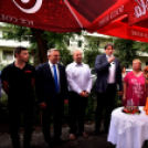 Augusztus 20 Cegléden 