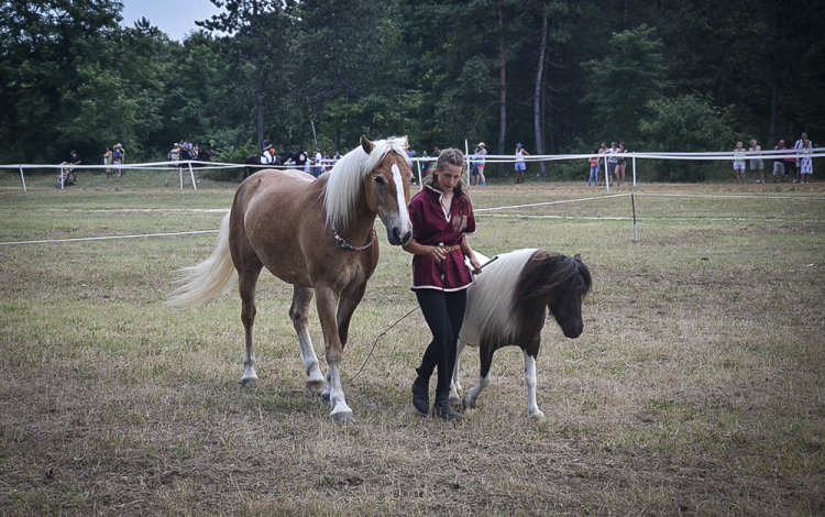 A lovak nyelvén – Hamza Viktória