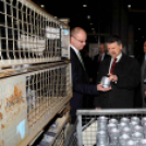 Kövér László Cegléden