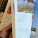 Könyvbemutató: Zöldellő egyház