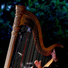 Múzeumok éjszakája