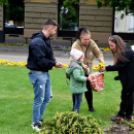 Ments meg egy árvácskát!