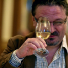 Város Bora választás 2016