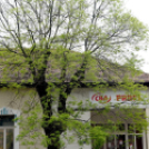 IV. Utcazene Fesztivál