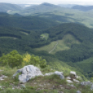 Tardonától az ,,őserdőig’’