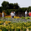 Kováts Zoltán Emlékülés Csemőben