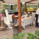 Rózsák Hétvégéje - Oázis Kertészeti Áruház