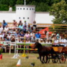 Laska fesztivál - szombat délelőtt