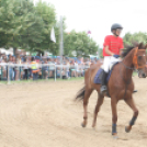 IX. Bor és Laskafesztivál - IV. Ceglédi Vágta