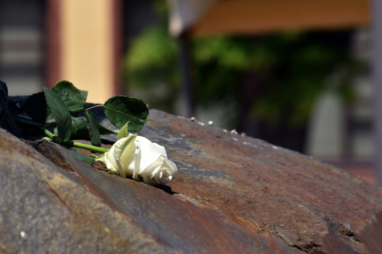 Soha nem múló fájdalom Trianon