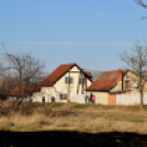 Száraz növényzet égett