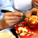 Pályaválasztási kiállítás