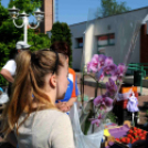 Csemői - Anyám tyúkja