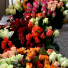 Városi nőnap - fotó: Kisfaludi István