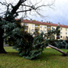 Októberi orkán Cegléden