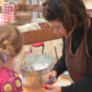 Rózsák Hétvégéje - Oázis Kertészeti Áruház