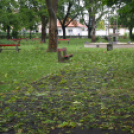 Viharkárok a Ceglédi térségben 