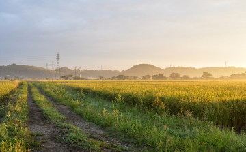 Eladó telek, a nagy projektek első lépcsője