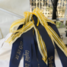 Városi Strandfürdő - Bokrétaünnep